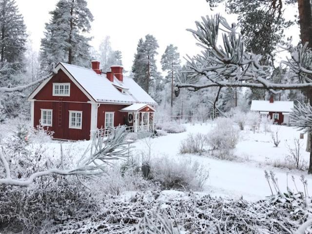 Villa Tammikko Tuusula Kültér fotó