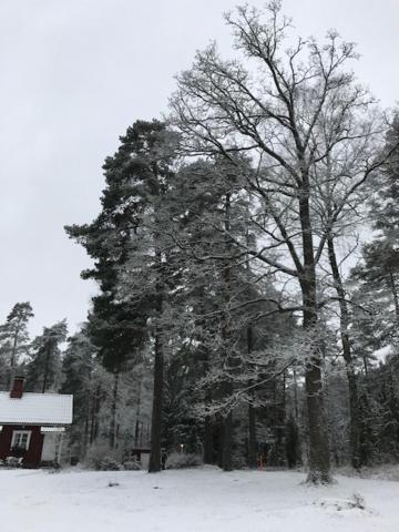 Villa Tammikko Tuusula Kültér fotó